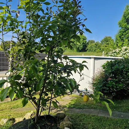 Дом отдыха Casa Tranquila Con Jardin, *